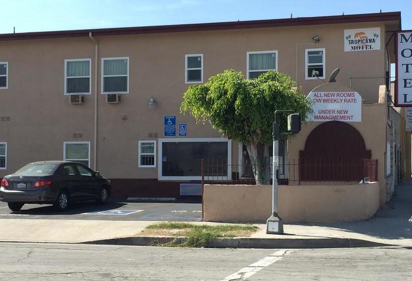 Tropicana Motel