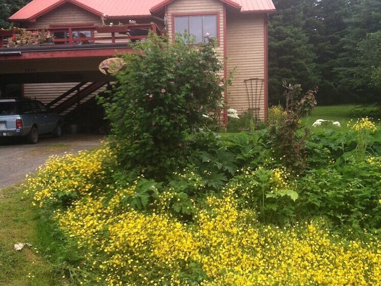 Whalesong Bed And Breakfast