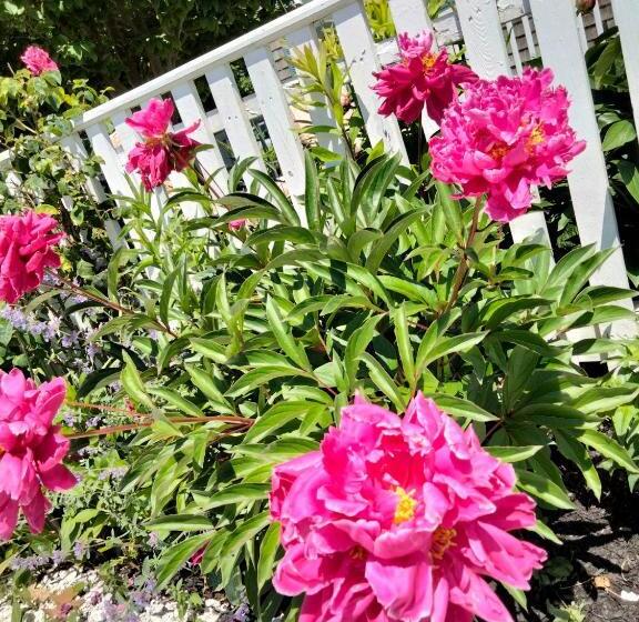 An English Garden Bed & Breakfast