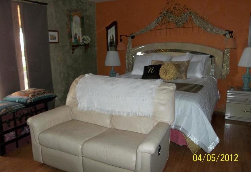 Dumplin Patch Bed & Breakfast