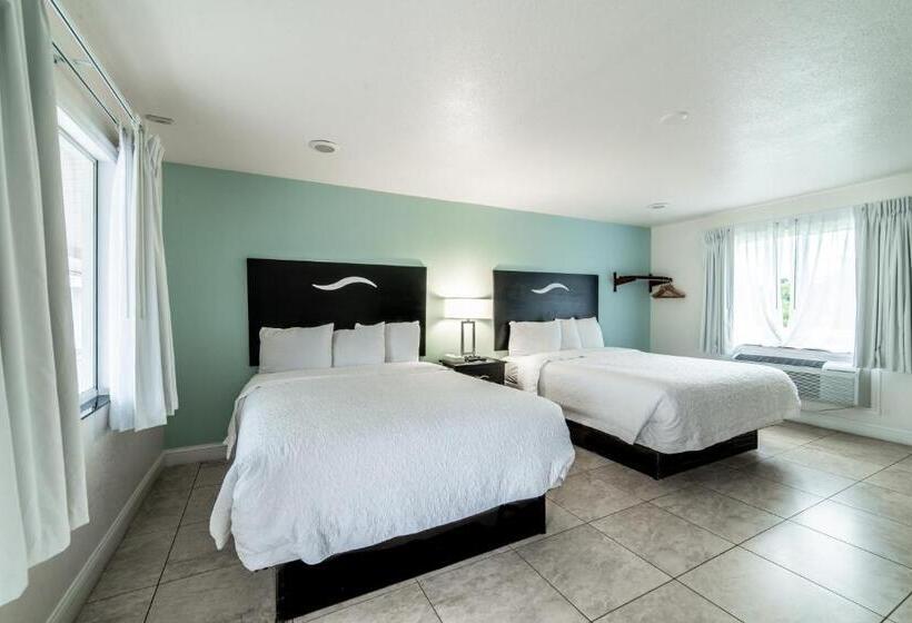 Everglades City Motel   Everglades Adventures Inn