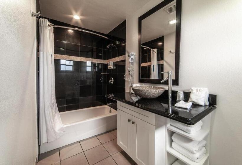 Everglades City Motel   Everglades Adventures Inn