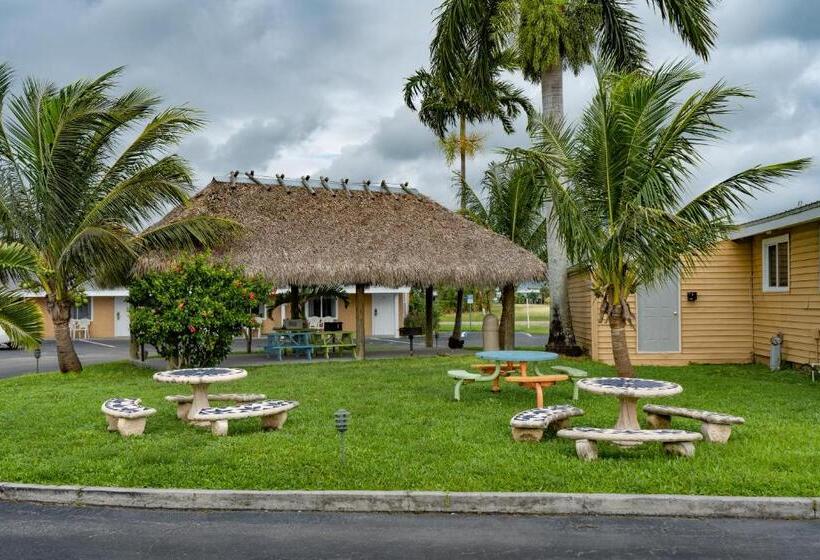 Everglades City Motel   Everglades Adventures Inn