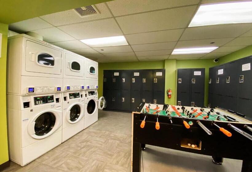 American Hotel Hostel