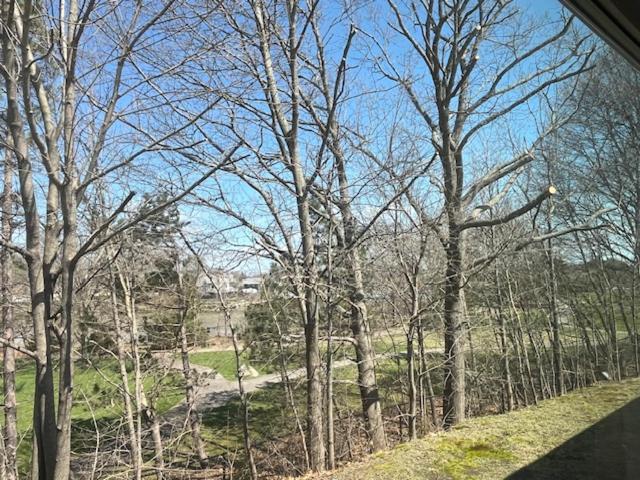 فندق Arbor Inn Motor Lodge   Weymouth