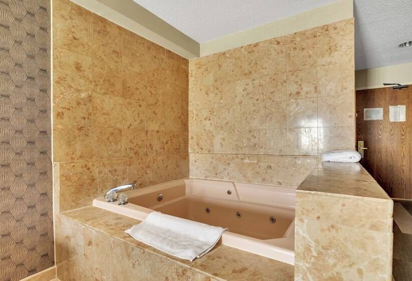 Отель Horizon Inn