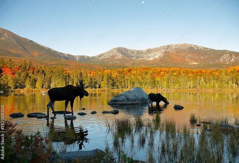 فندق Katahdin Inn & Suites