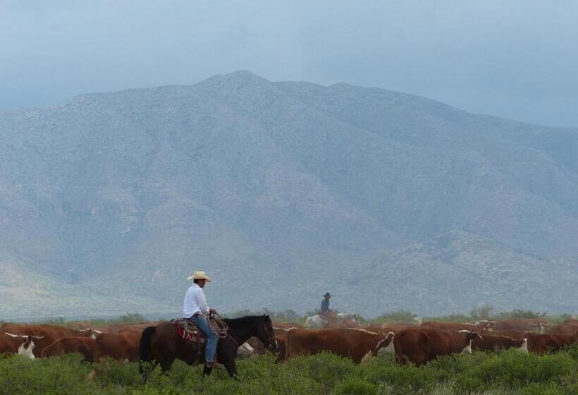 فندق Parker At Quarter Circle 7