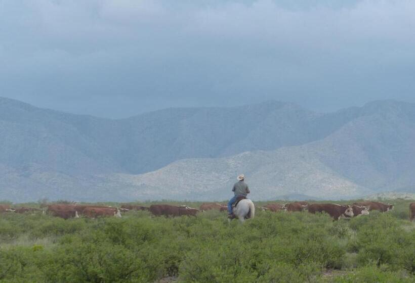 فندق Parker At Quarter Circle 7