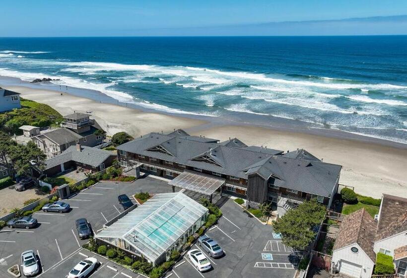 호텔 Pelican Shores Inn