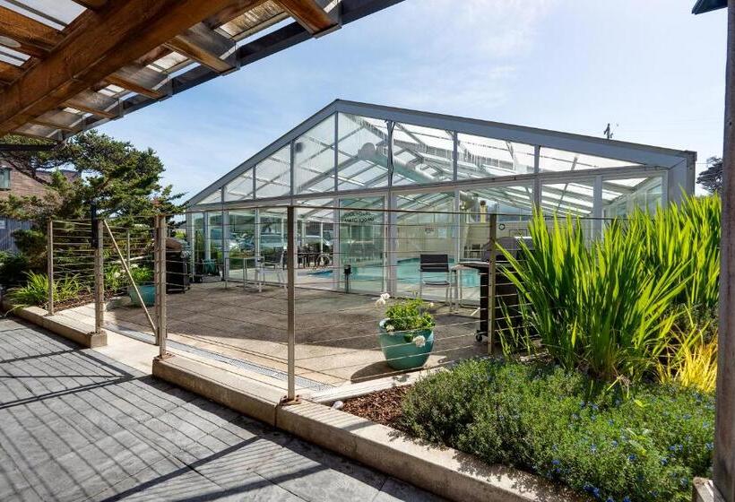 호텔 Pelican Shores Inn