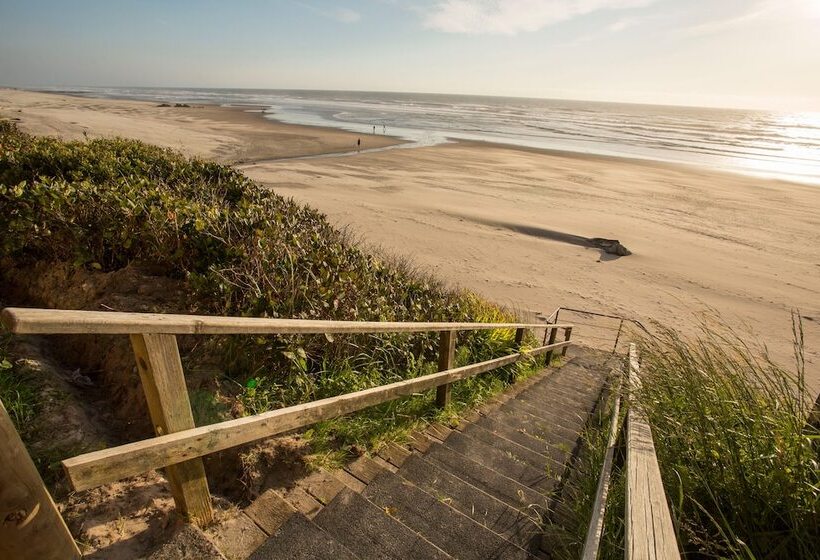 호텔 Pelican Shores Inn