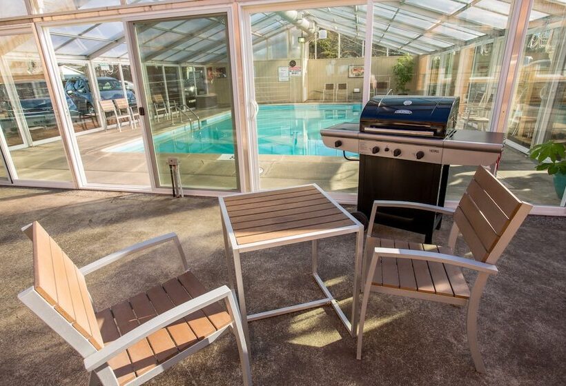 호텔 Pelican Shores Inn