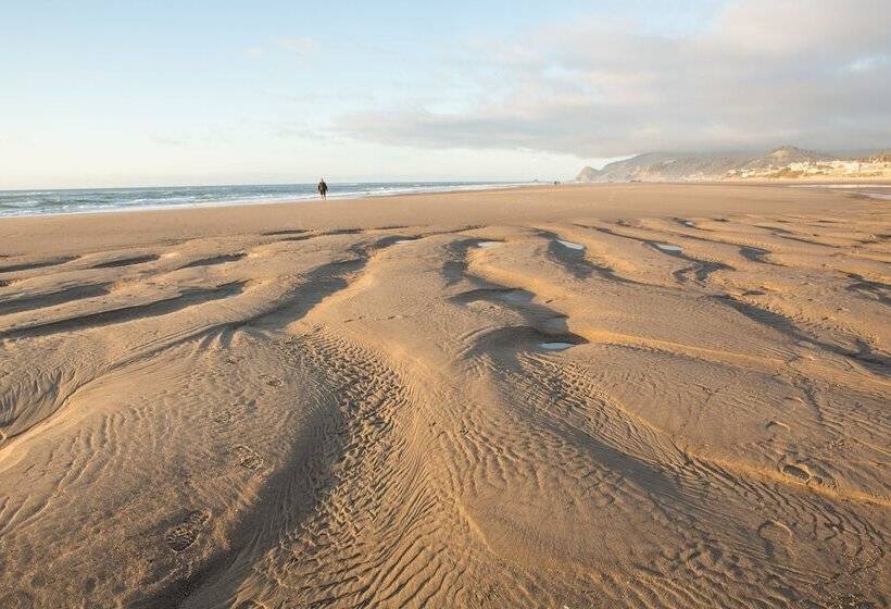 호텔 Pelican Shores Inn