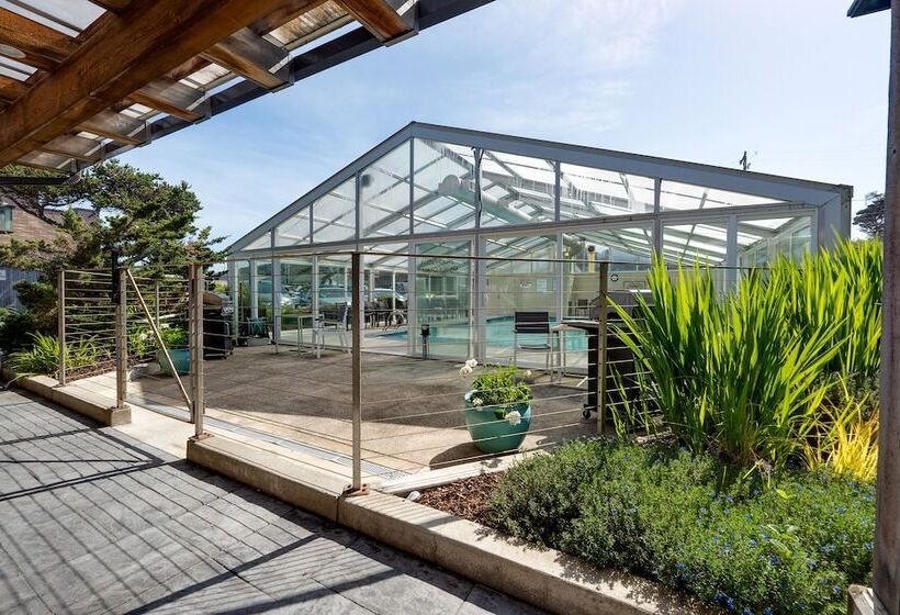 호텔 Pelican Shores Inn