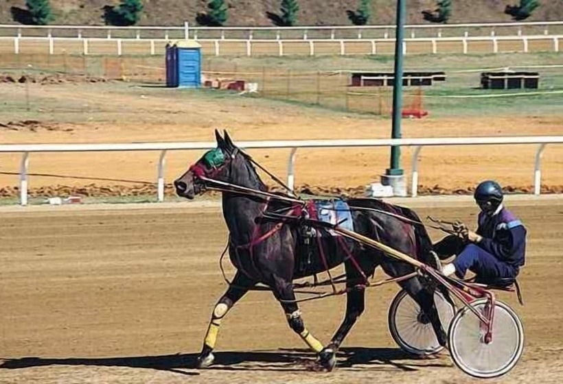 酒店 Red Carpet Inn Orchard Park