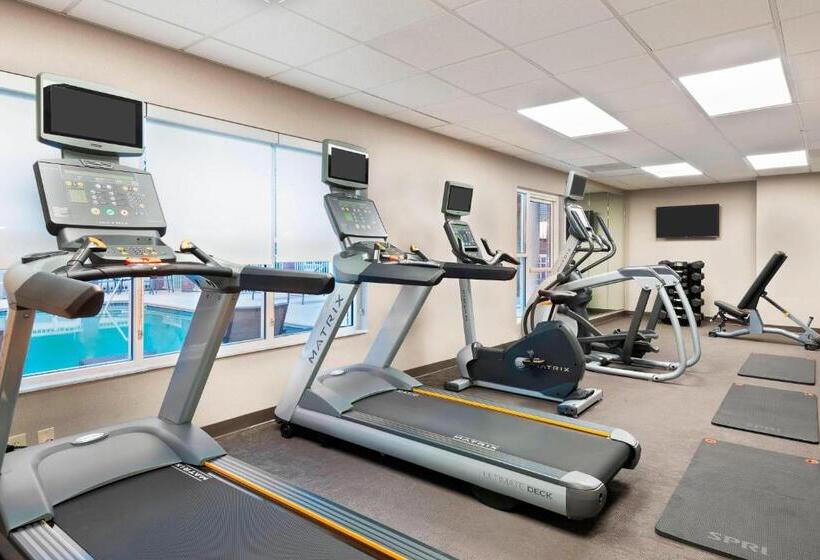 酒店 Residence Inn By Marriott Tampa At Usf/medical Center