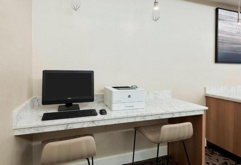 酒店 Residence Inn By Marriott Tampa At Usf/medical Center