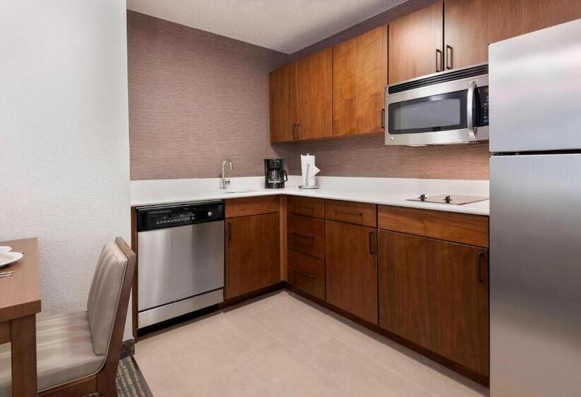 酒店 Residence Inn By Marriott Tampa At Usf/medical Center