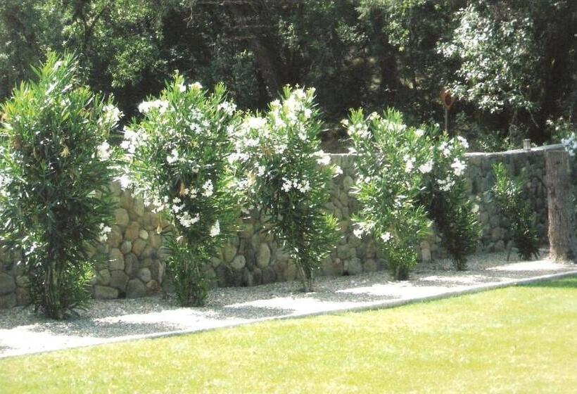 ホテル Spanish Villa Inn