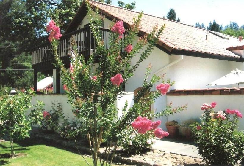 ホテル Spanish Villa Inn