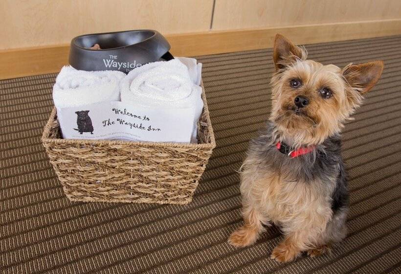 Отель The Wayside Inn