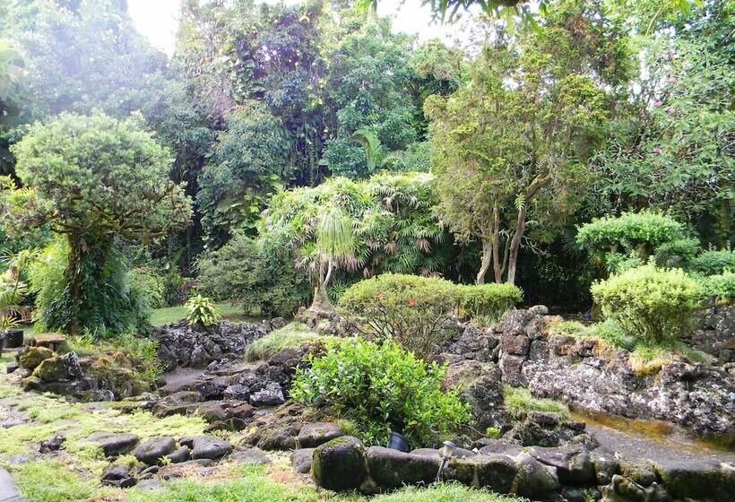 Maureen S Bed & Breakfast