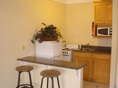 汽车旅馆 All Seasons Lodge