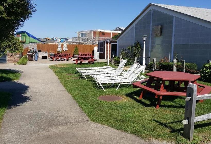 فندق على الطريق Blue Sea Motor Inn