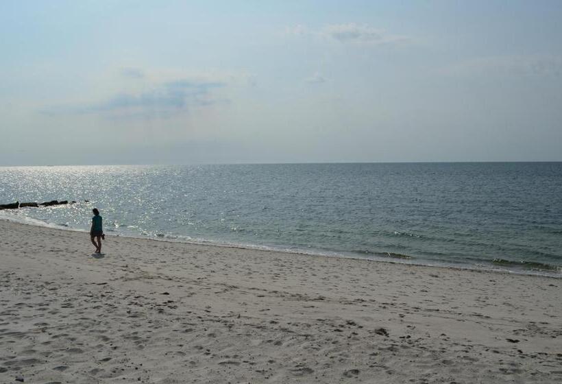 モーテル Cape Shore Inn