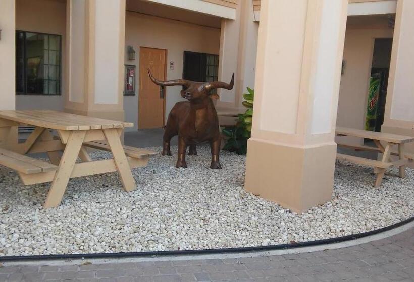 모텔 Casa Rosa Inn