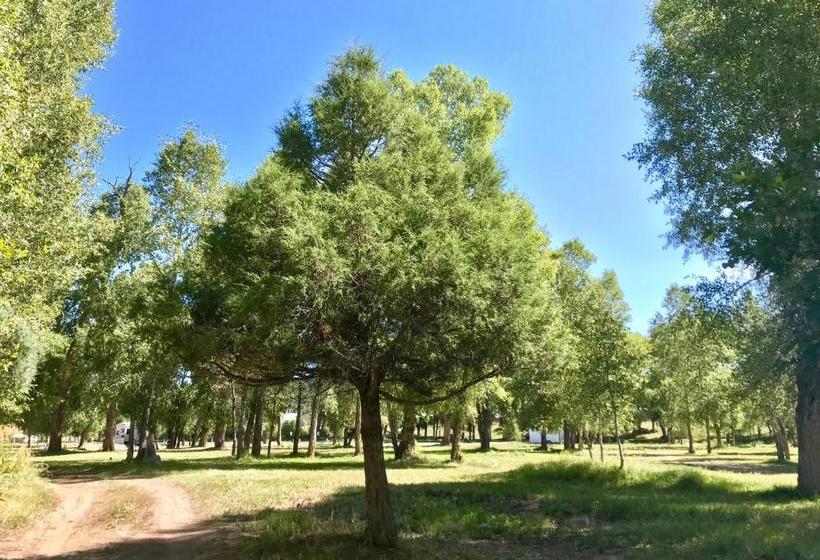 فندق على الطريق El Meson Lodge