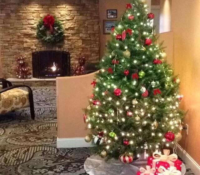 모텔 Golden Apple Inn