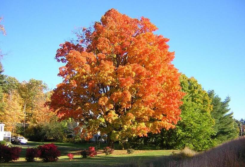 فندق على الطريق Golden Gables Inn