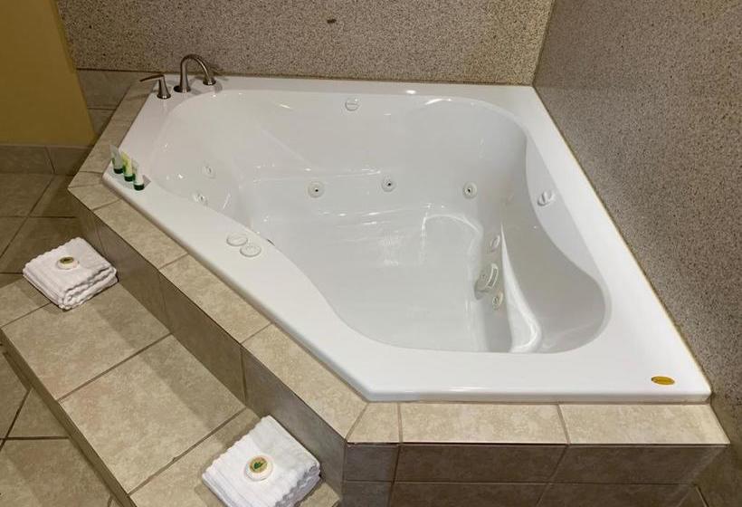 汽车旅馆  Journey Inn Marion