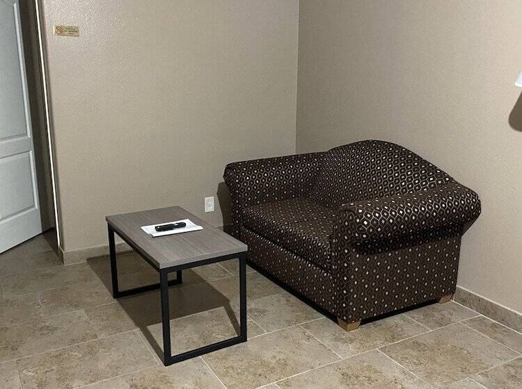 汽车旅馆  Los Fresnos Inn And Suites