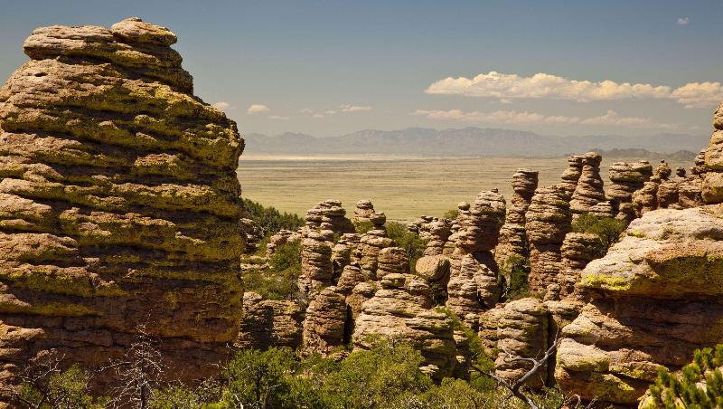 فندق على الطريق Magnuson Hotel Sierra Vista