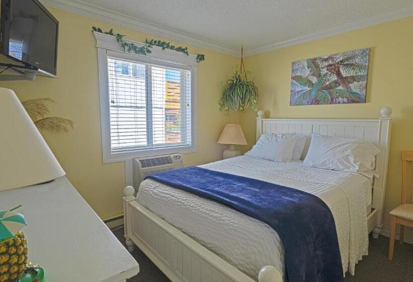 فندق على الطريق Montauk Oceanside Suites