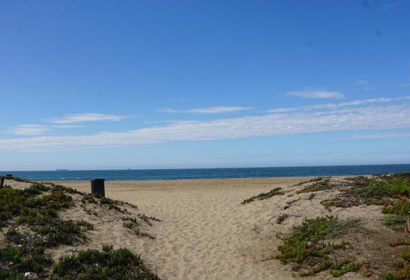 Мотель Ocean Surf Inn & Suites