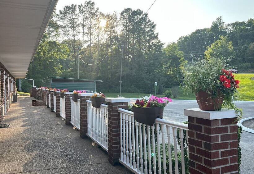 모텔 Pinetree Inn