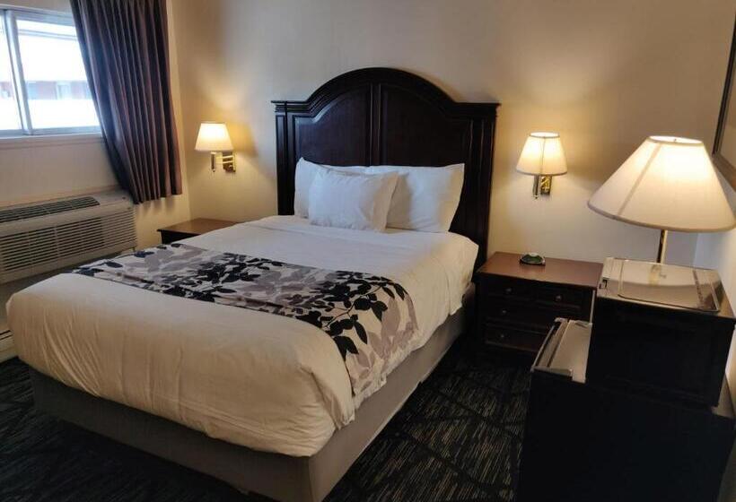 فندق على الطريق Skyline Motor Inn