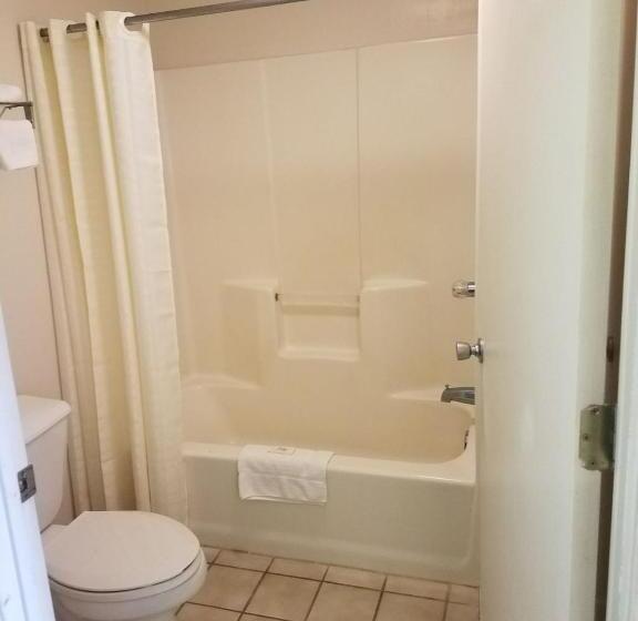 فندق على الطريق Shelaine Inn