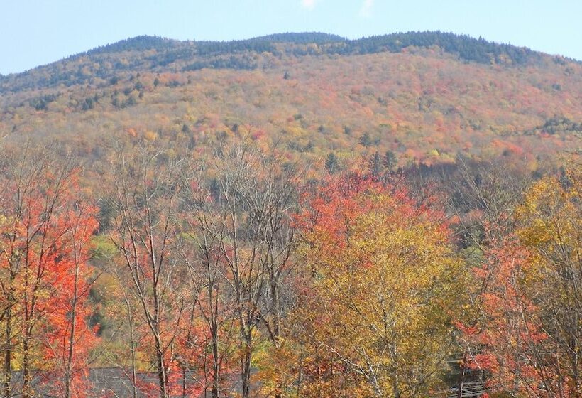 Wilderness Inn Bed And Breakfast