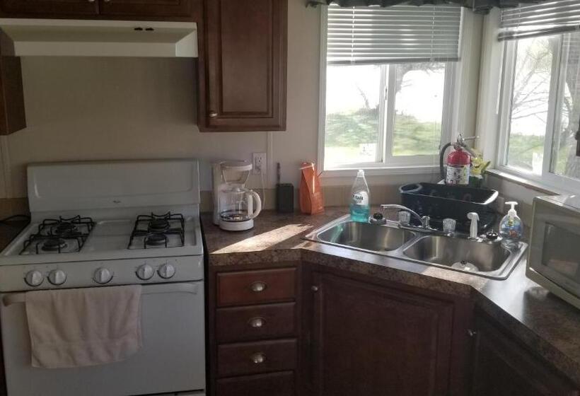 Willow Bay Rv Resort & Marina