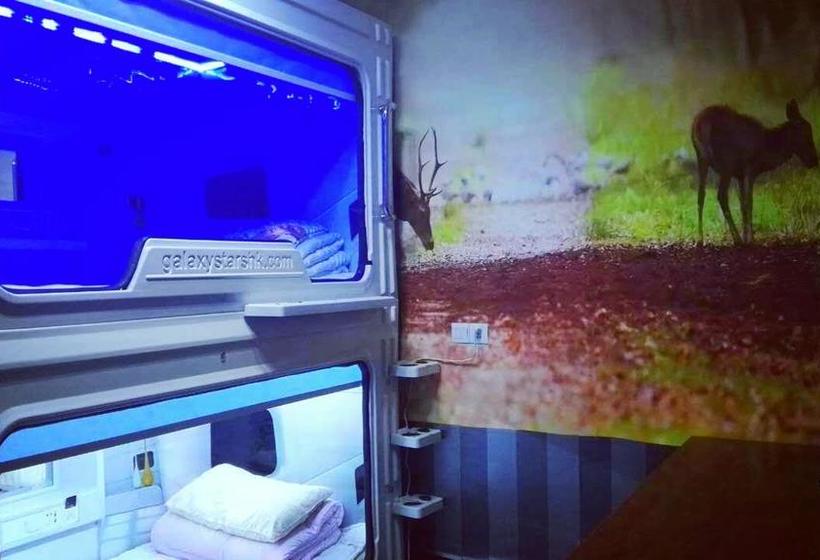 Wushe International Youth Hostel