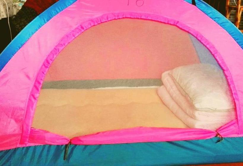 Wushe International Youth Hostel