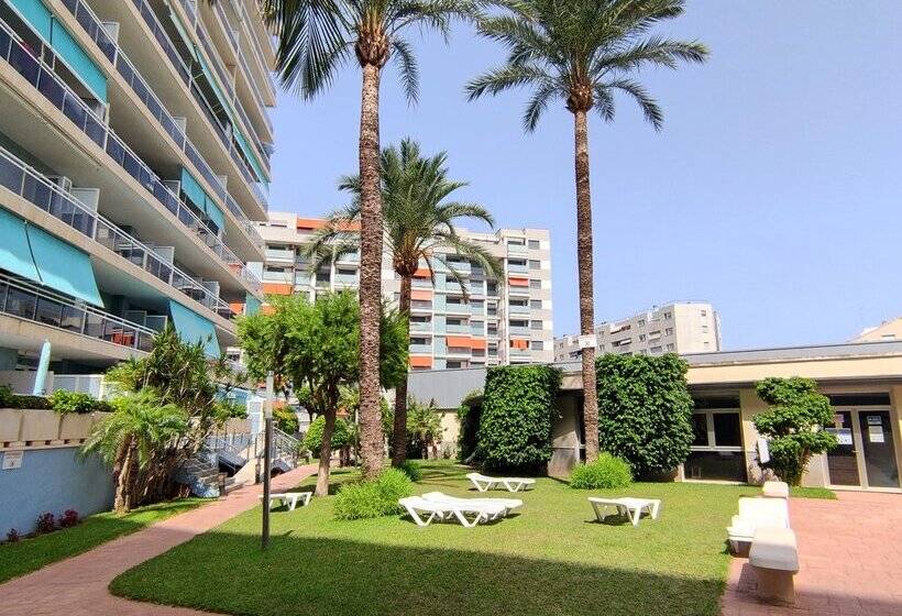 Apartamentos Athenea Gandia 3000