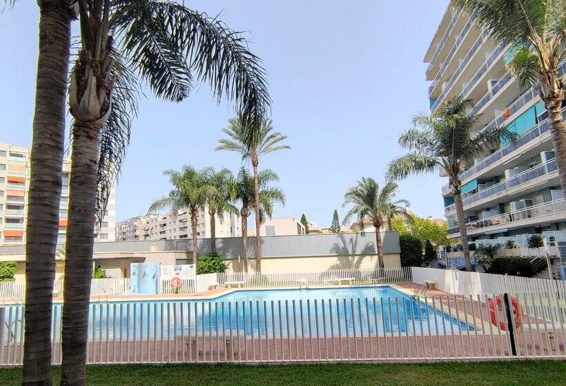 Apartamentos Athenea Gandia 3000