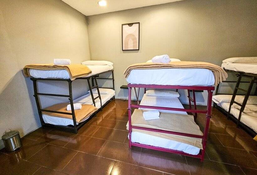 Hostel Backpacker Solopuent