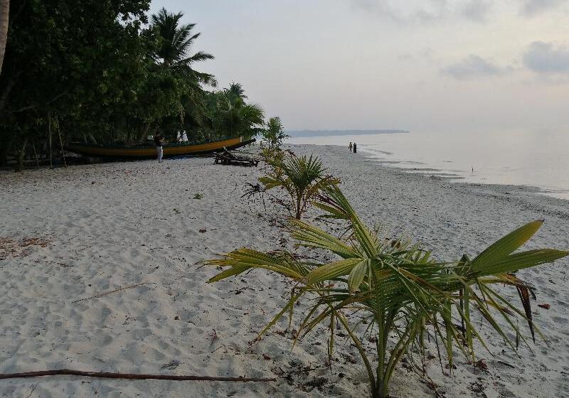 فندق White Coral Beach Resort